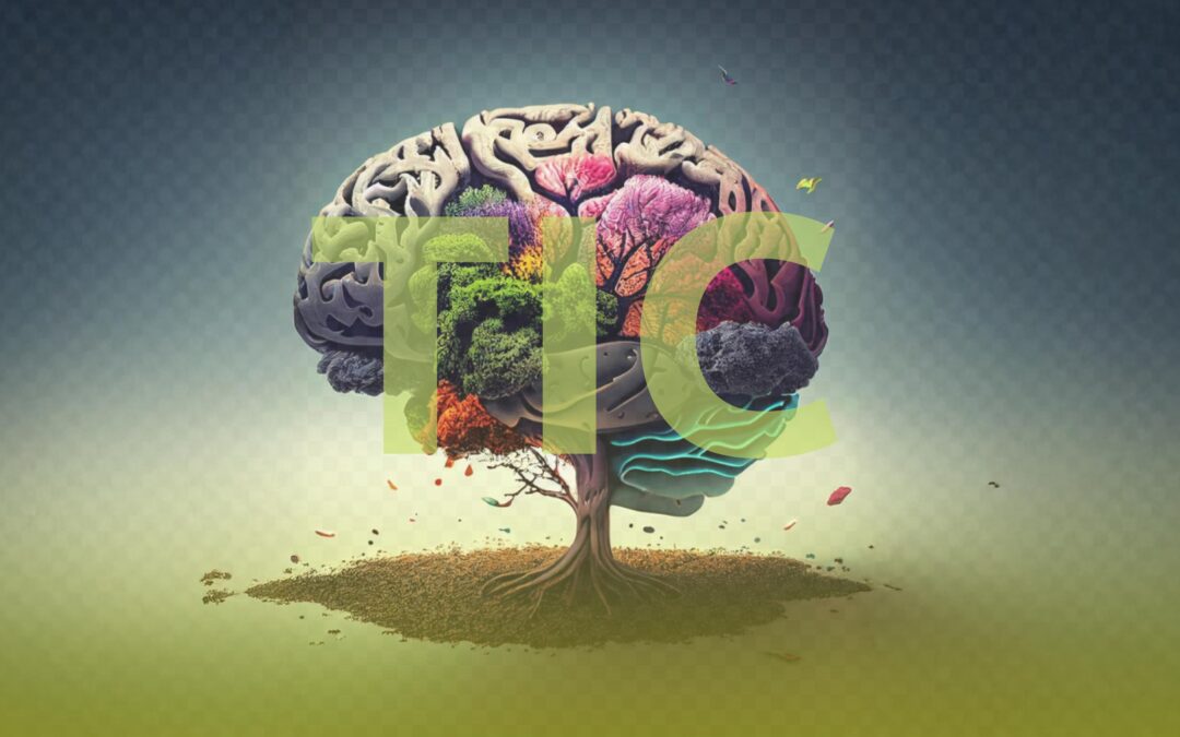 TIC